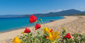 Korsika im Frühling – Urlaub für jeden Geschmack