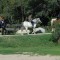 Reiten auf Korsika mit Esel & Pferd