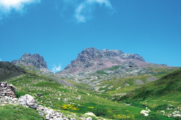 PagliaOrba