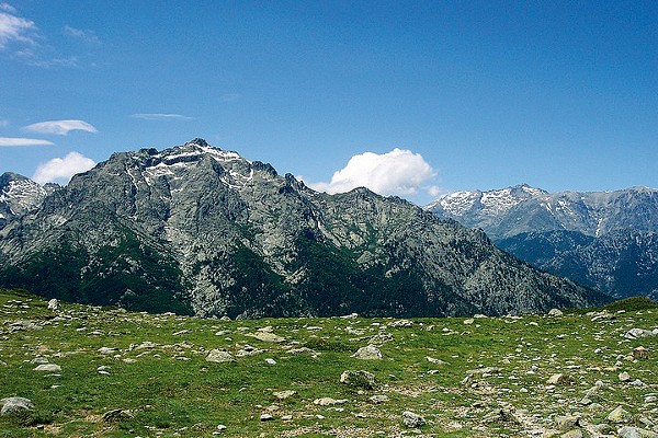 'Oro Monte d'Oro