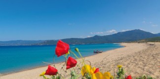 Korsika im Frühling – Urlaub für jeden Geschmack