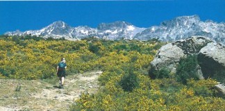 Monte Cinto Wanderung (2.706 m) Monte Cinto