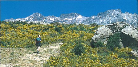 Monte Cinto Monte Cinto