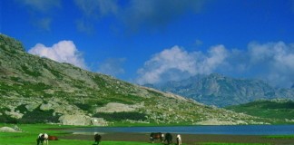 Capu a u Tozzu – Eine Bergtour mit wunderschönen Eindrücken der Insel Korsika – Ein Reisebericht Plateau bei dem See Nino auf Korsika