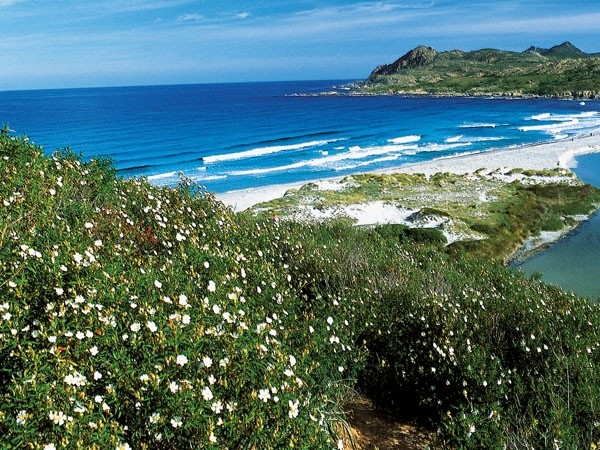 Strand bei Calvi - Galeria