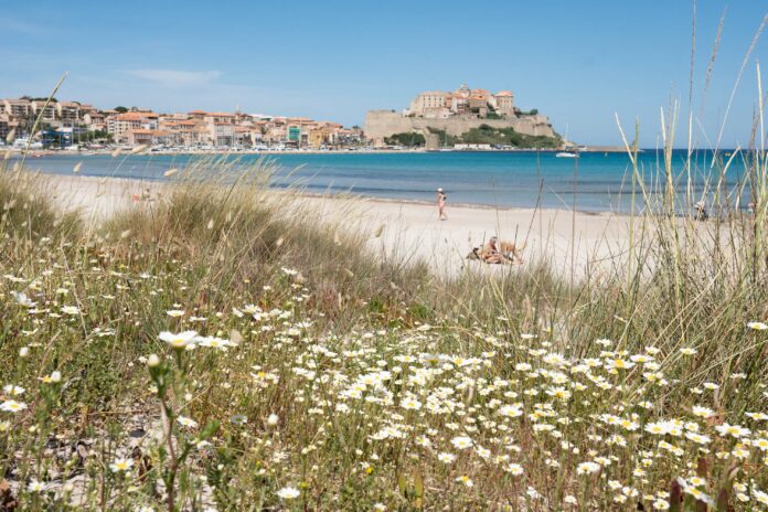 Strand von Calvi mit Blick auf die Zitadelle