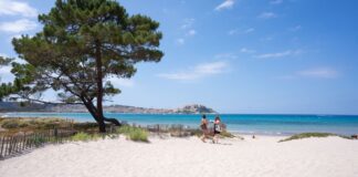 Strand von Calvi  – Viel Platz und viel Infrastruktur Strand von Calvi mit Blick auf die Citadelle