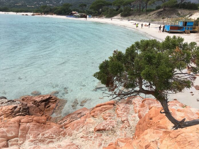 Strand_Palomaggia_Korsika Rote Felsen am Strand von Palombaggia Korsika