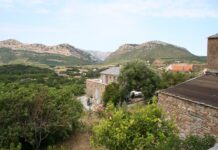 Patrimonio – korsischer Wein in Bestform Patrimonio in Korsika