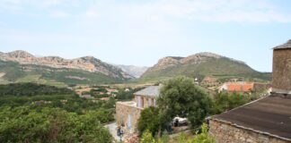 Patrimonio – korsischer Wein in Bestform Patrimonio in Korsika